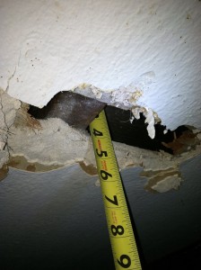 Wall studs