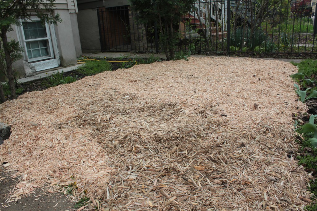 Mulch!