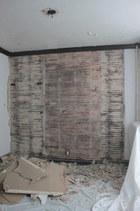 De-Plastered
